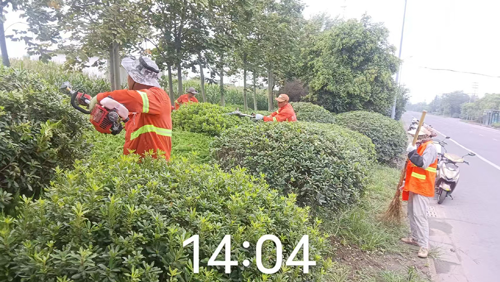 365bb82d1c560659b086246e9637d11f